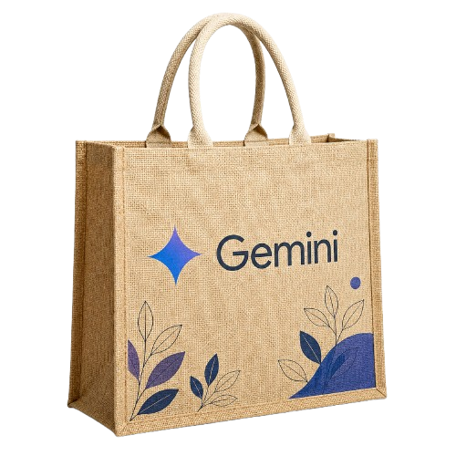 Bag 13