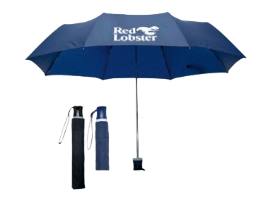 Umbrella 1